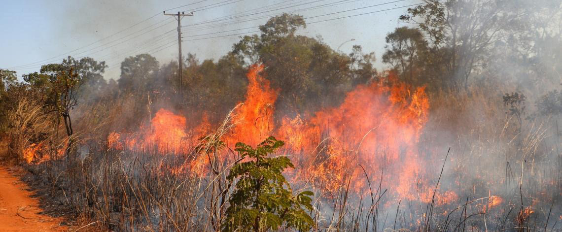 Saiba como agir caso um incêndio florestal se aproxime de residência, não tente apagar o fogo