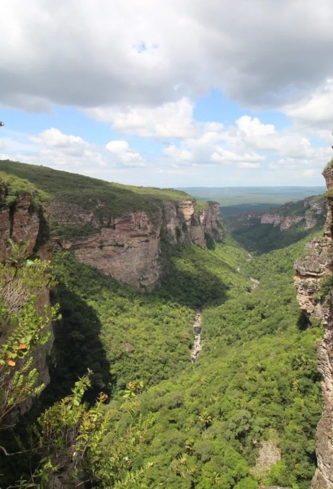 Criação do Refúgio de Vida Silvestre Serra da Chapadinha une vitória histórica e alerta contínuo