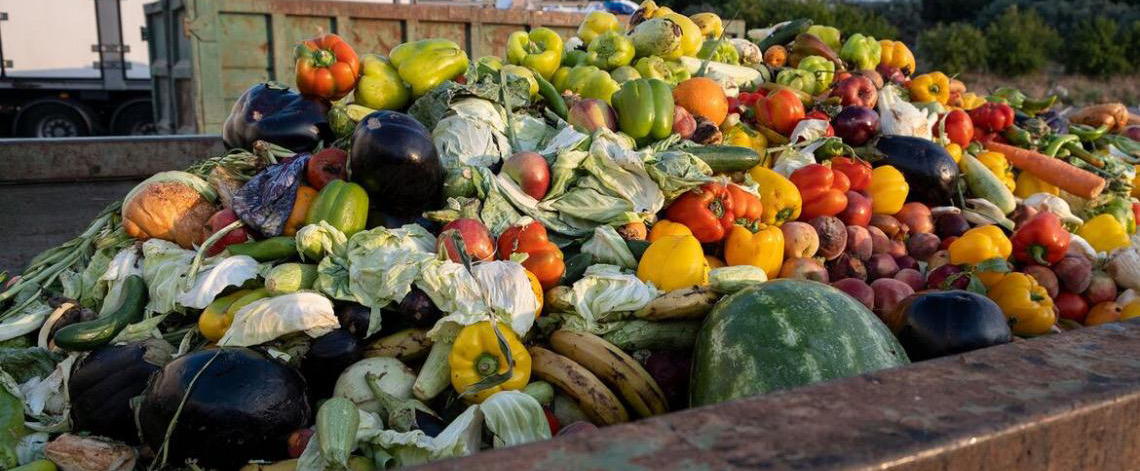 Aposta em tecnologia nuclear quer salvar 1 bilhão de toneladas de comida
