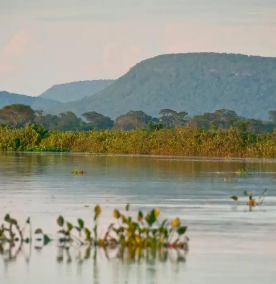 Cerrado brasileiro perdeu 13,9 milhões de hectares de margens de rios