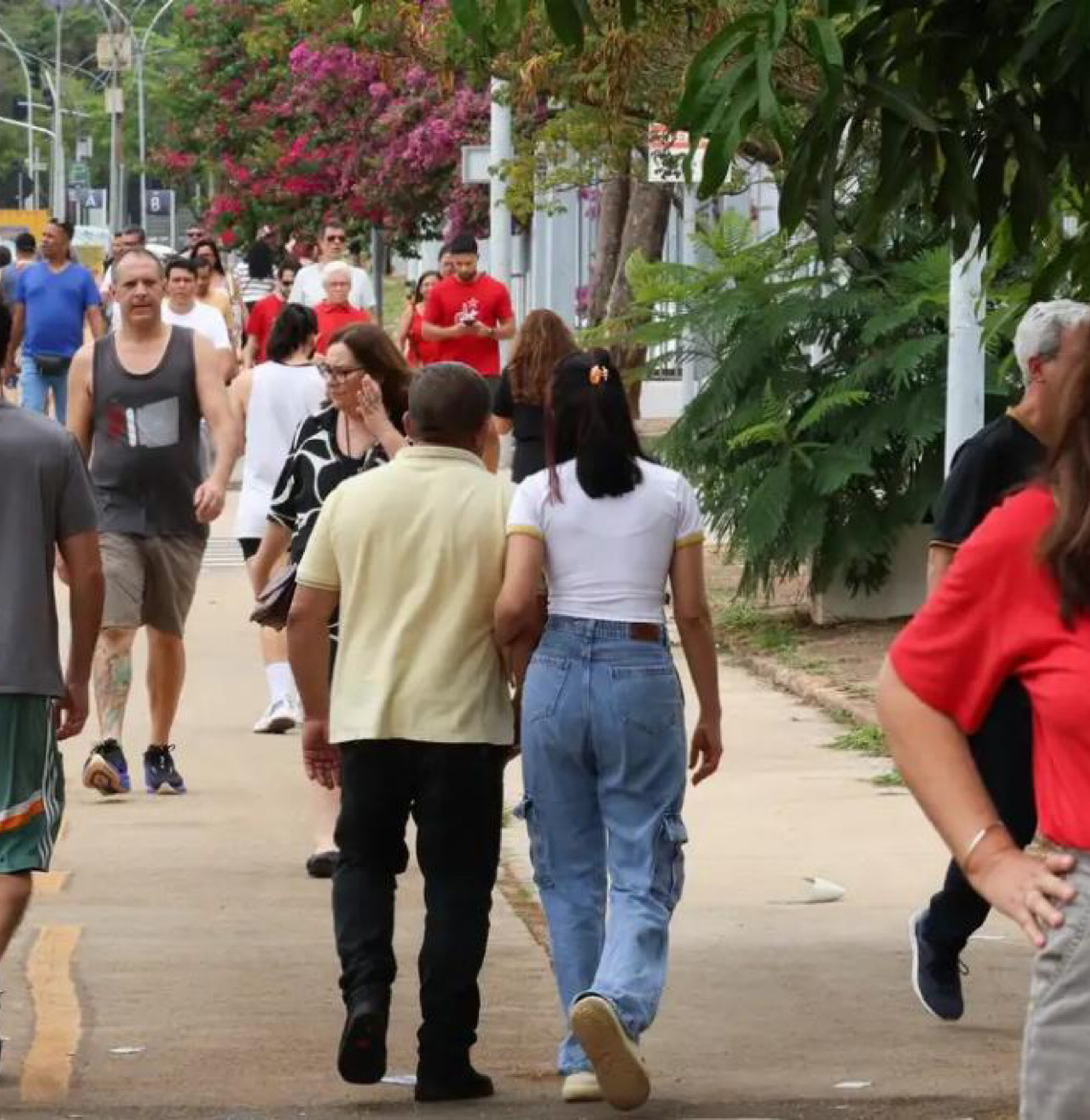 Com alta da violência política no Brasil, mulheres são maiores vítimas