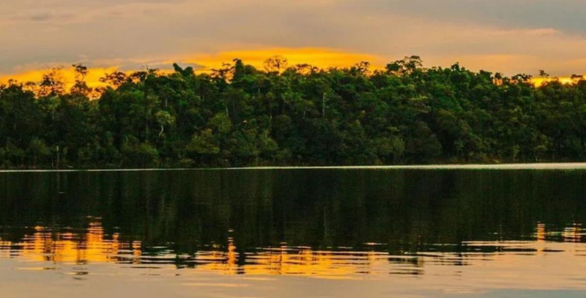 Amazônia Central: Patrimônio Mundial da Unesco protege mais de 6 milhões de hectares de floresta