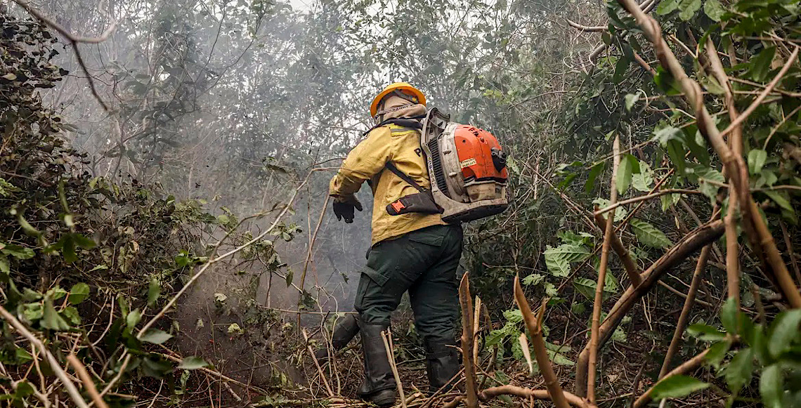 Incêndios no Amazonas resultam de ação humana, diz ministro 