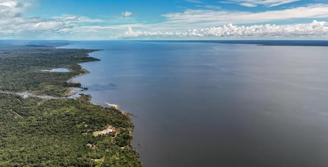 Veja os planos de governo de Flávio e Lula para meio ambiente e clima