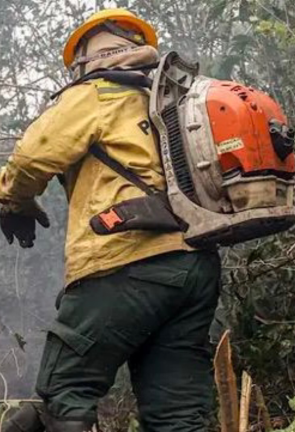 Incêndios no Amazonas resultam de ação humana, diz ministro 