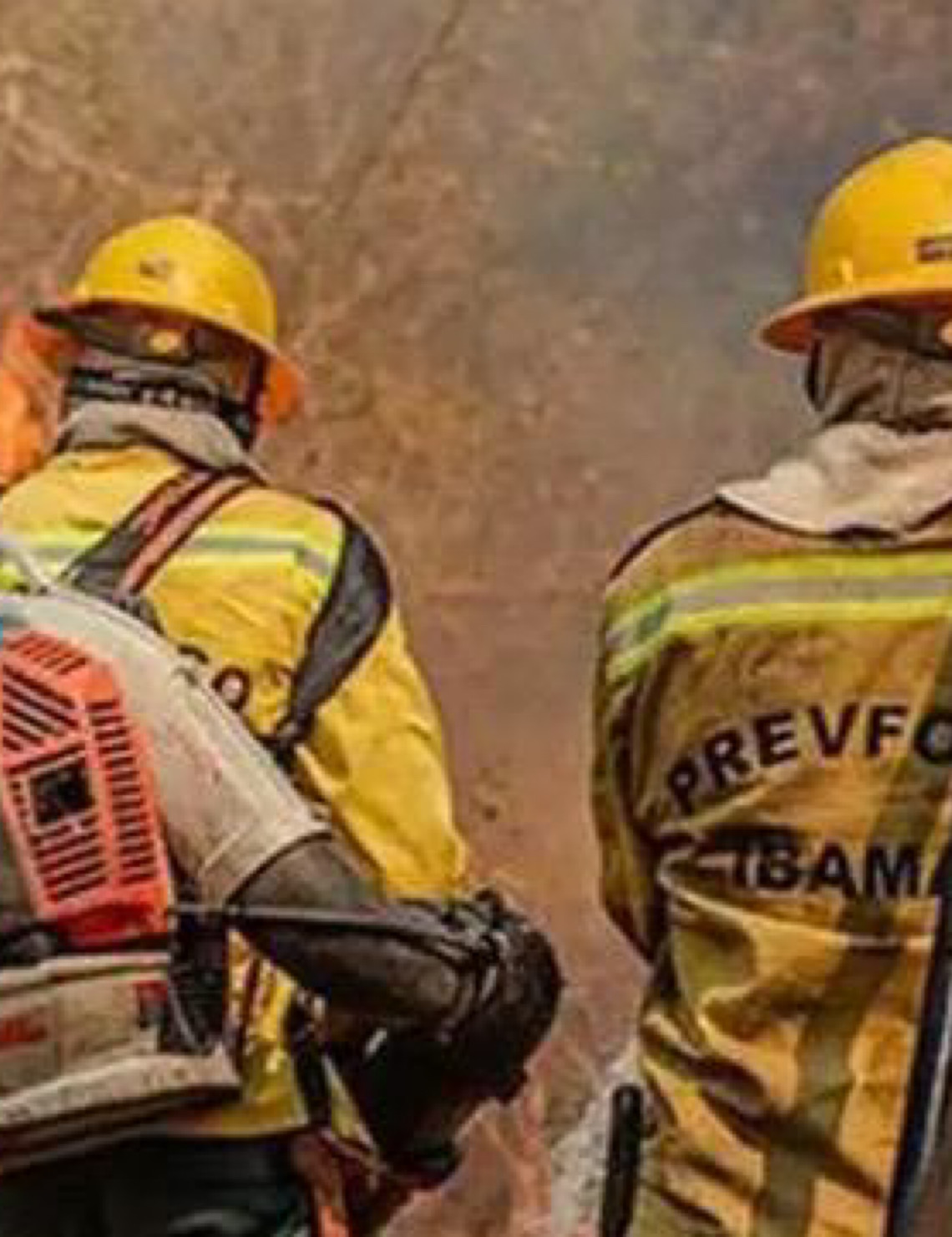 Governo investiga se há organização por trás dos incêndios no Amazonas