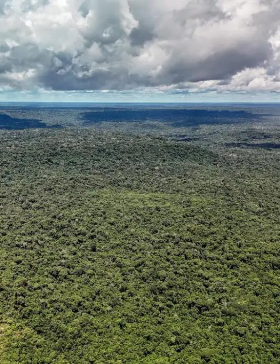 MapBiomas: Amazônia registra menor nível de desmatamento em 41 anos