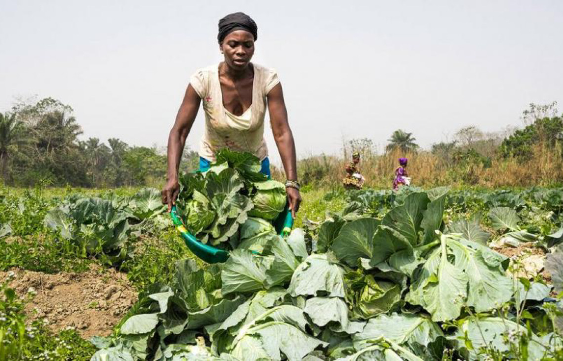 Brasileiras, ao lado da angolana Teresa Mariz, estão entre as 100 mulheres que transformam agricultura