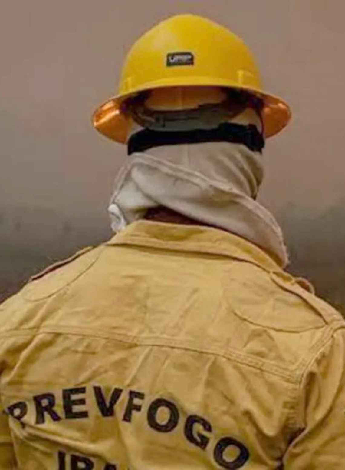 Focos de incêndio no Amazonas diminuem após ação de força-tarefa