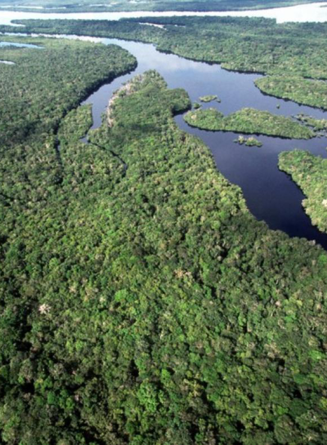 As maiores quedas no desmatamento da Amazônia e do Cerrado