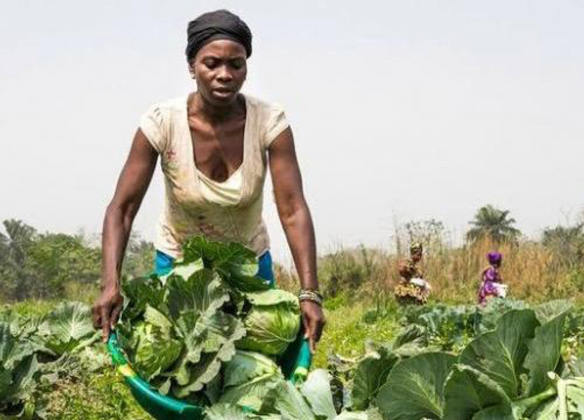 Brasileiras, ao lado da angolana Teresa Mariz, estão entre as 100 mulheres que transformam agricultura