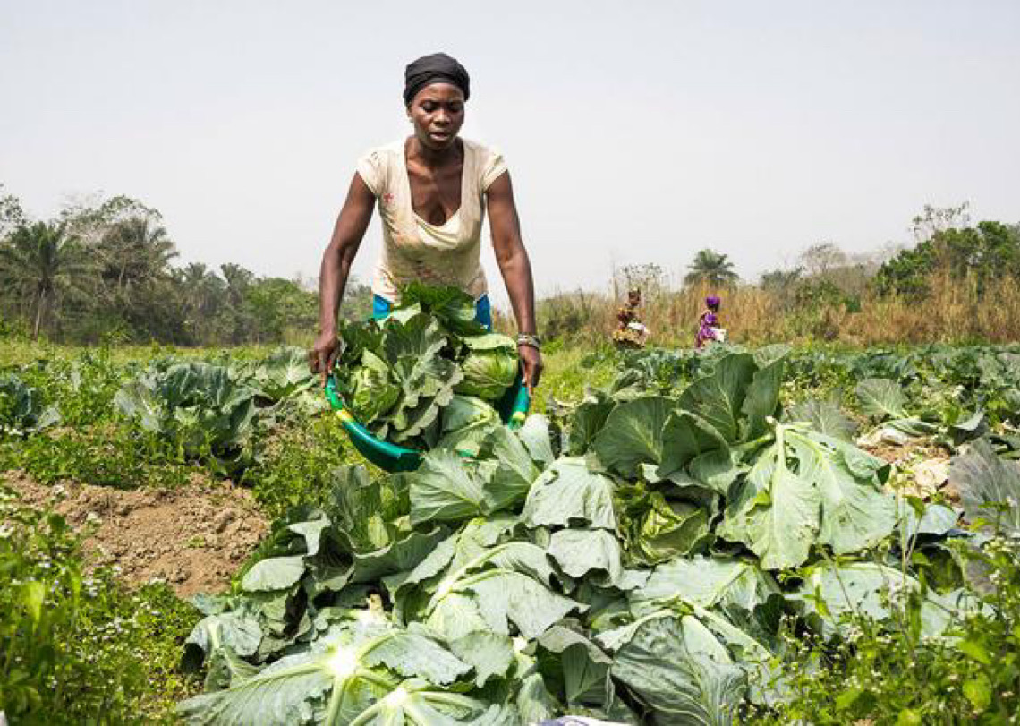 Brasileiras, ao lado da angolana Teresa Mariz, estão entre as 100 mulheres que transformam agricultura