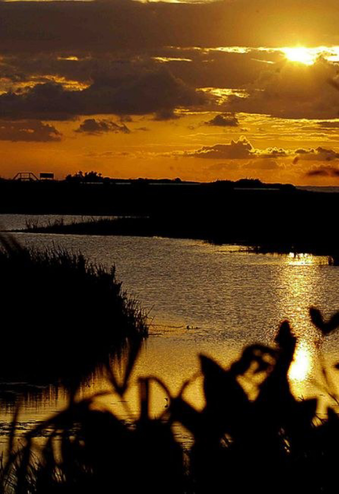 Santuário de lagoas costeiras e biodiversidade preservada no litoral