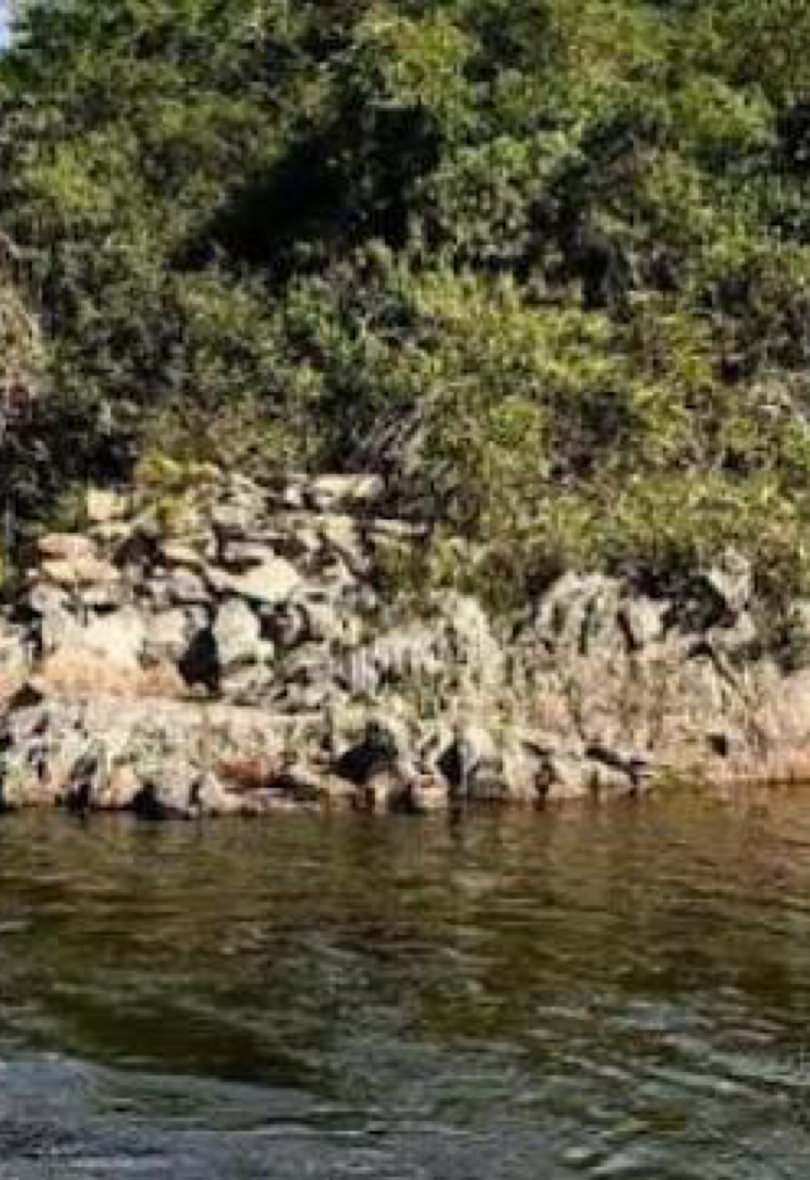 Caminho de Santana: Entre serras e cachoeiras, os encantos de Cavalcante, em Goiás