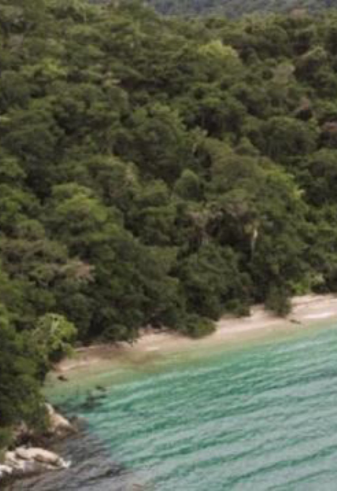 Volta da Ilha Grande: Trilha une praias paradisíacas a história de Angra dos Reis