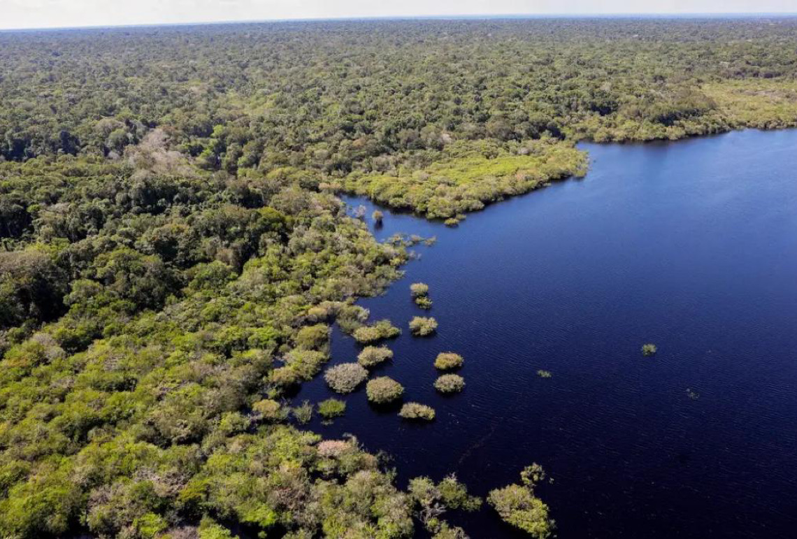 Queda de desmatamento na Amazônia e no Cerrado gera R$ 1,16 trilhão à economia global