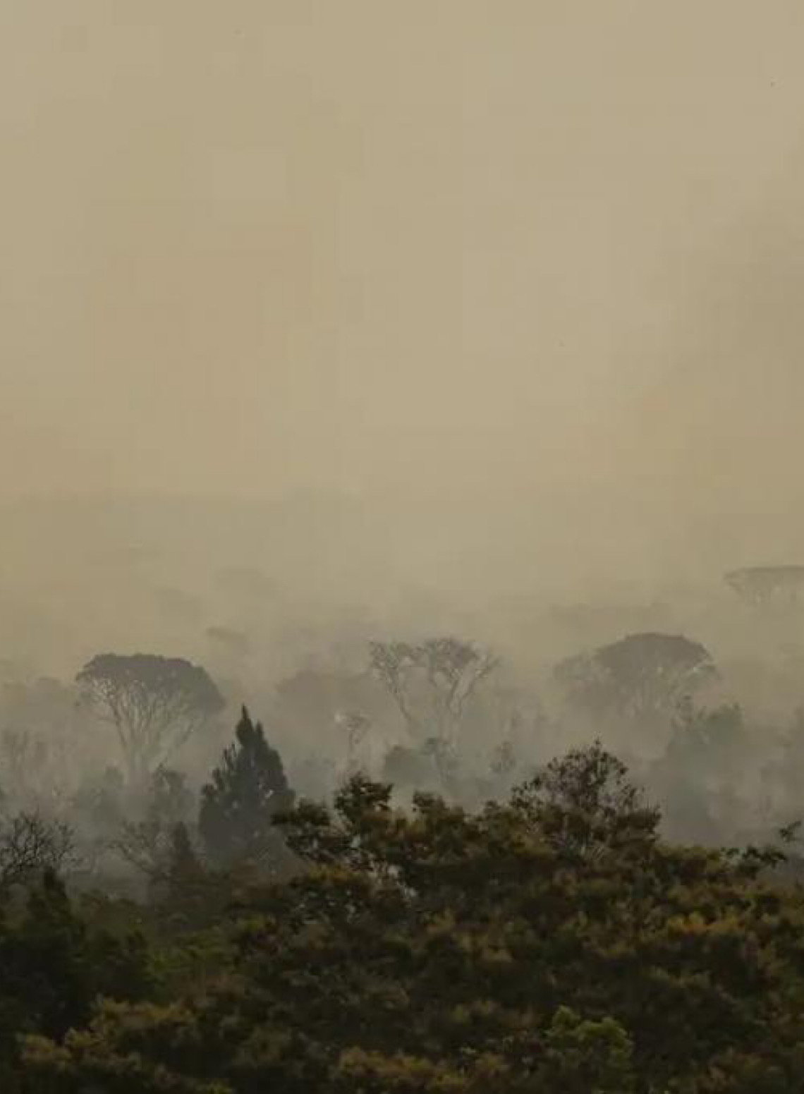 Força Nacional do SUS apoia atendimentos no Amazonas após incêndios