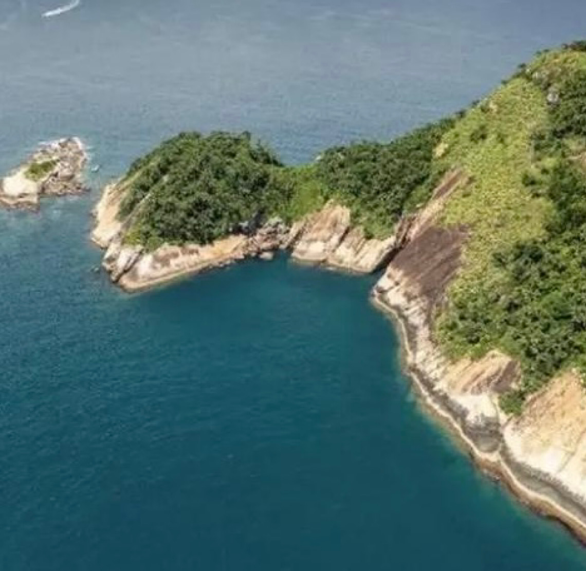 Reserva marinha no Rio alia proteção ambiental com atividades econômicas