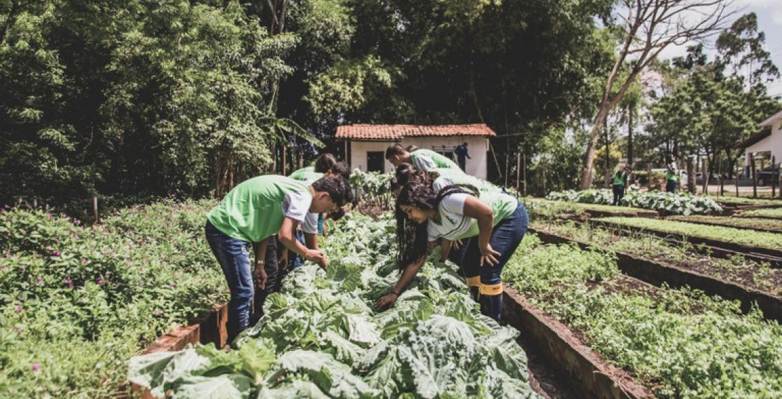 Governo Federal aprimora compra de alimentos da agricultura familiar para a merenda escolar