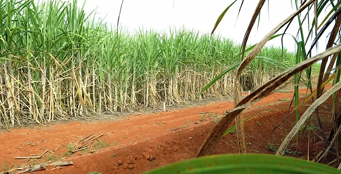 Senado aprova R$ 270 milhões em subvenção para canavieiros do Nordeste