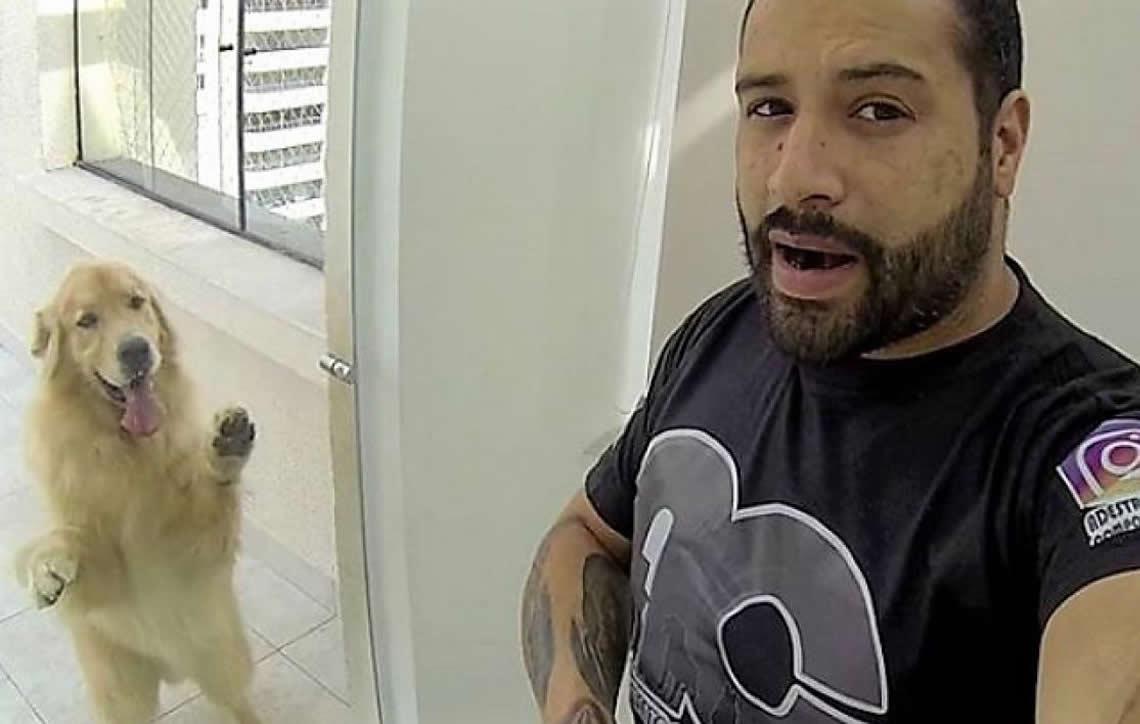 Adestrador De Cães São Paulo ContextoExato - Adestrador mostra como ensinar o cachorro a não pular