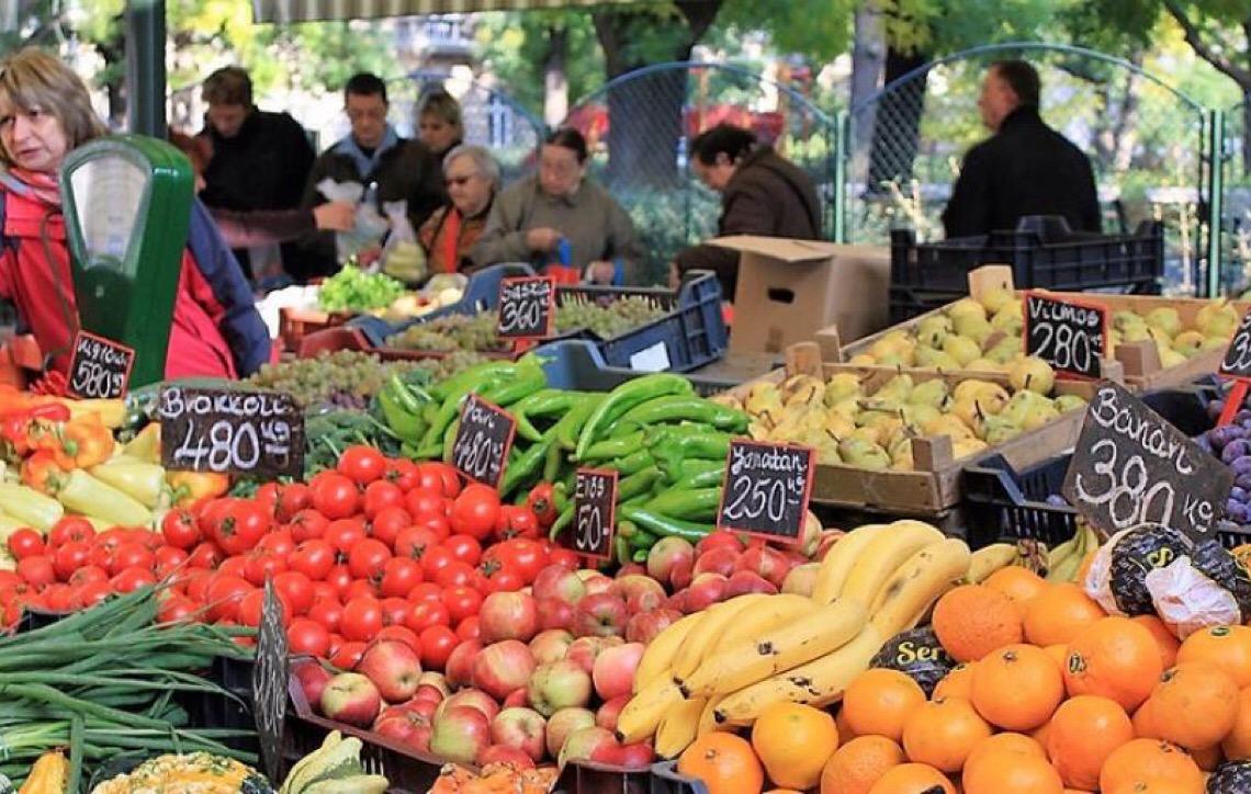 Agro & Pesquisas