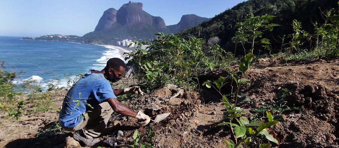 Ações visam o reflorestamento e restauração de mata nativa