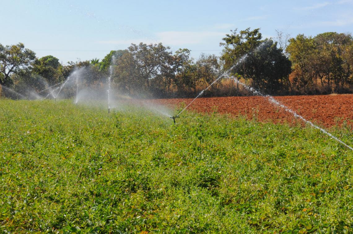 Canais de irrigação evitam perda de 50% da água destinada à produção rural