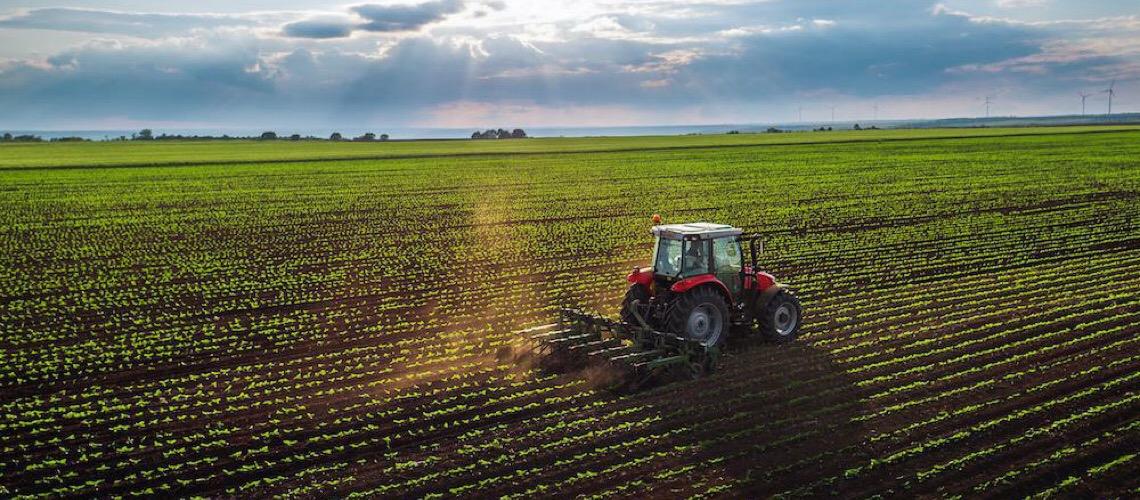 Portugal anuncia ajuda financeira a agricultores