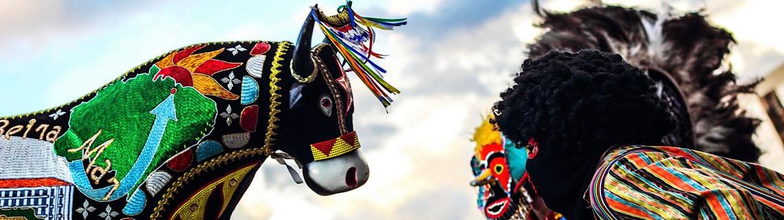 Projeto Raízes do Sertão celebra cultura nordestina em São Sebastião no fim de semana