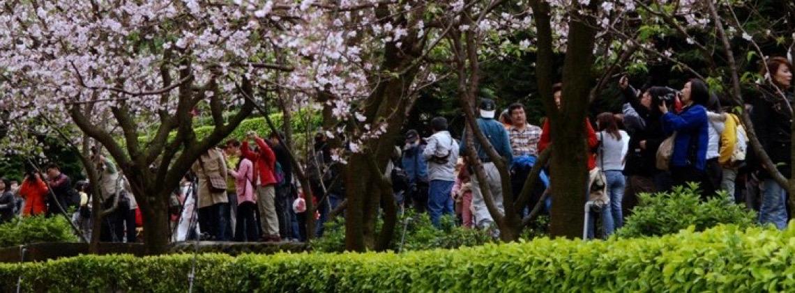 Conhecendo os parques nacionais de Taiwan
