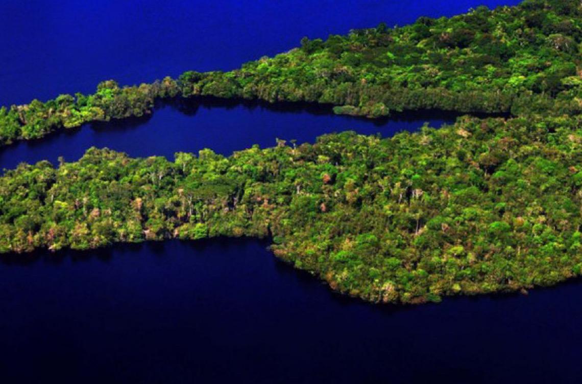 Prêmio Braztoa de Sustentabilidade 2025 abre inscrições com novidades e destaque na Amazônia