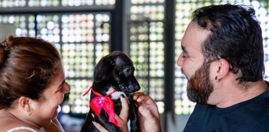 Feira de adoção transforma vidas e une famílias a novos companheiros