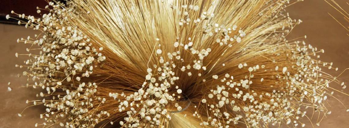Capim dourado do Cerrado vira biojoia e conquista mercados internacionais
