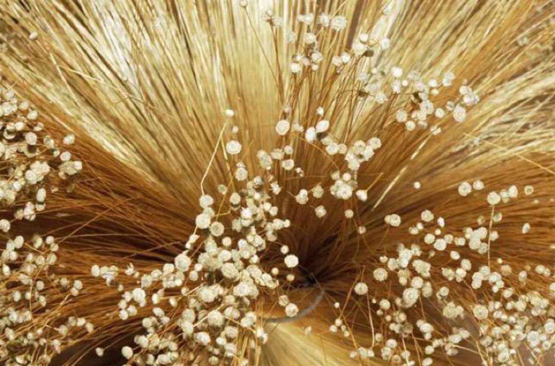 Capim dourado do Cerrado vira biojoia e conquista mercados internacionais