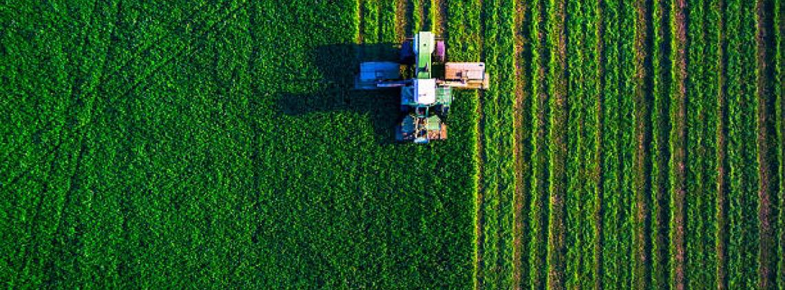  Brasil e Japão fortalecem agenda de biocombustíveis
