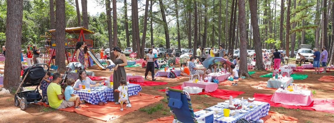 Lazer Para Todos: Gratuidade aos domingos e feriados no Zoo e no Jardim Botânico