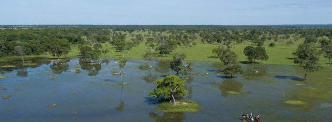 Campo Grande é anunciada sede da COP sobre Espécies Migratórias em 2026
