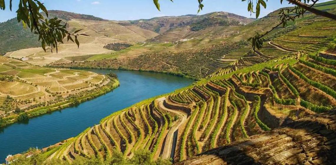 Guia de viagem pelo Vale do Douro: O que visitar no norte de Portugal