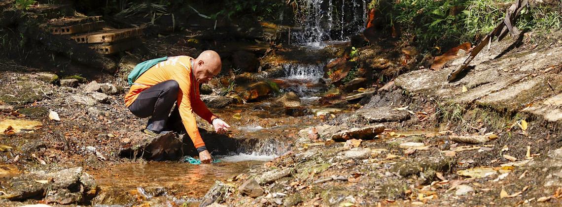 Natureza como terapia: Cerrado auxilia na recuperação emocional