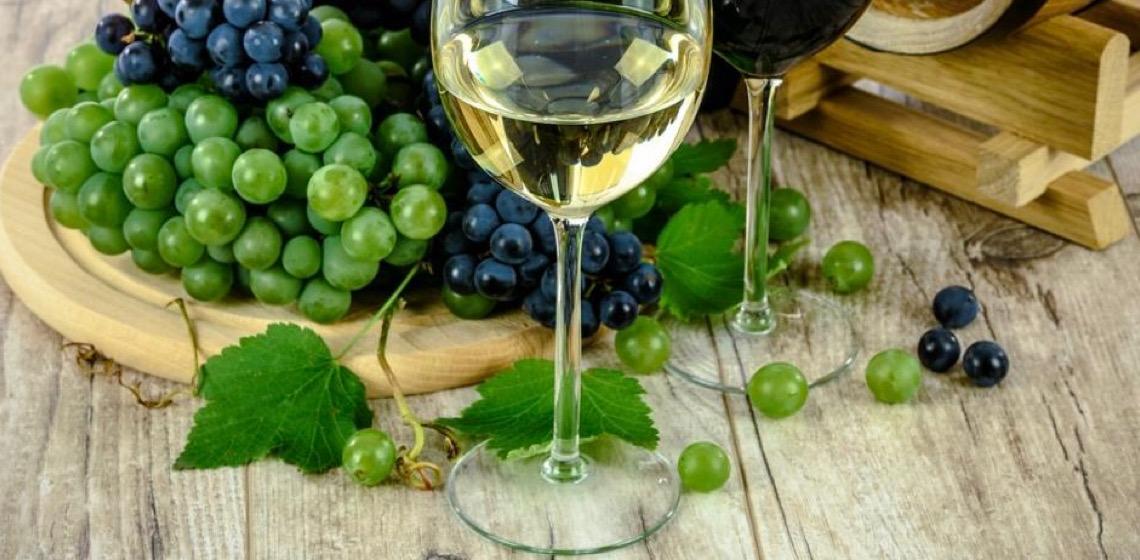 Vinhos do Cerrado superam rótulos internacionais em pesquisa inédita