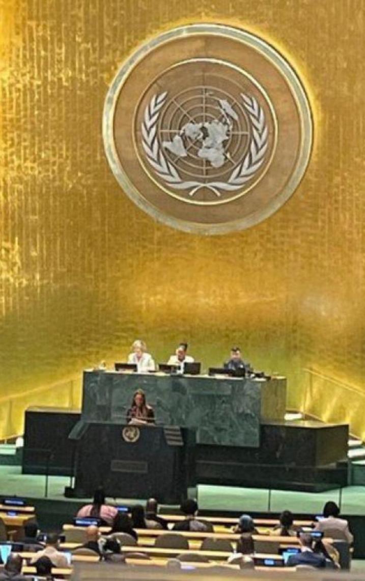 Em discurso na ONU, Anielle Franco chama países para se unirem no combate ao racismo
