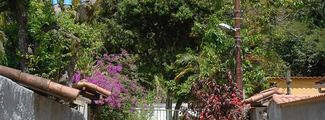 Precisamos de mais observadores da natureza no Brasil, diz diretor de app
