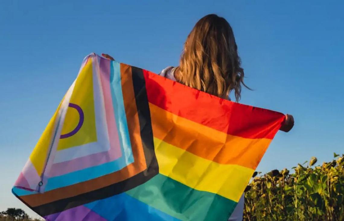 Governo lança site da conferência dos direitos das pessoas LGBTQIA+