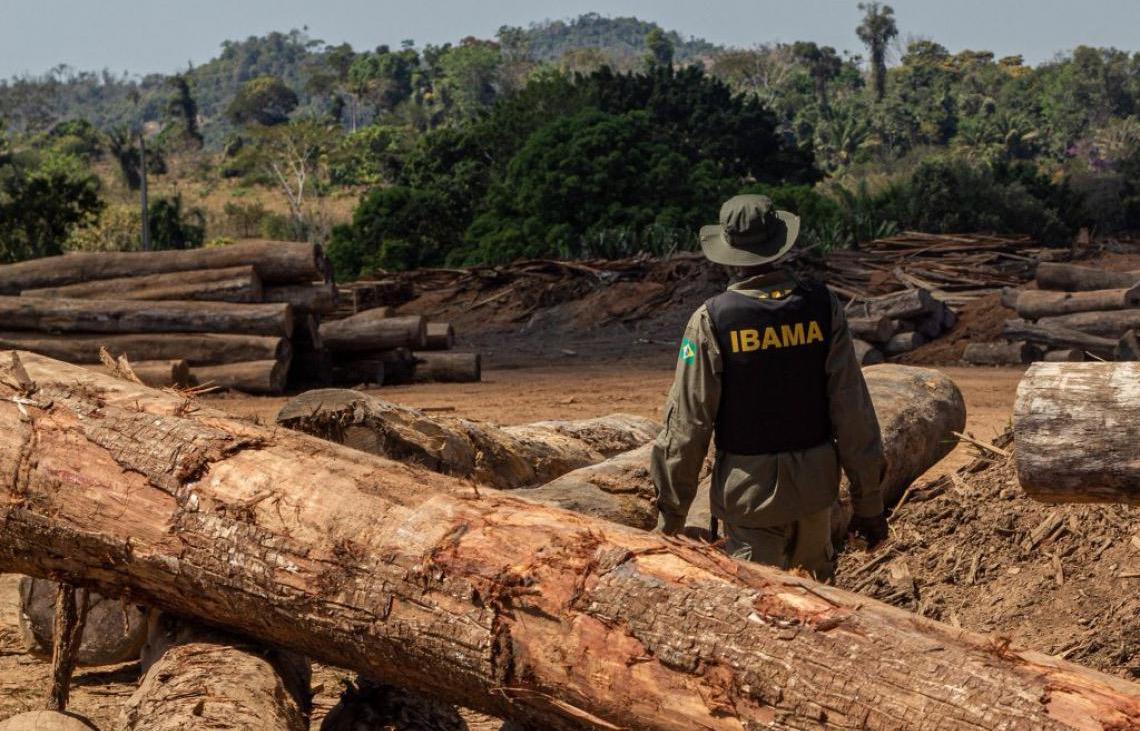 Mega-ação do Ibama contra desmatamento revolta ruralistas, e Helder aciona Planalto