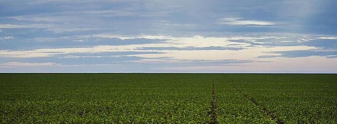 Agro brasileiro bate recorde e movimenta US$ 52,7 bi nos 4 primeiros meses de 2025