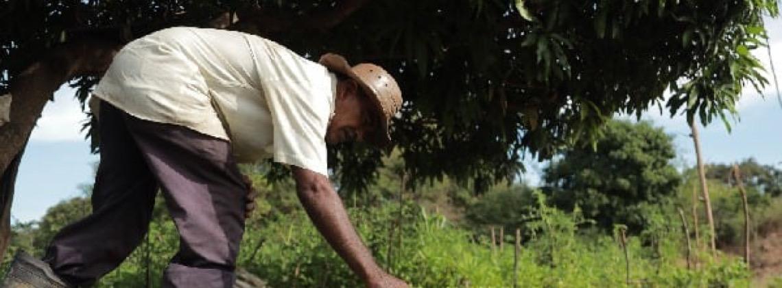 Fecomércio lança edital para fortalecer cooperativas da agricultura familiar no Ceará