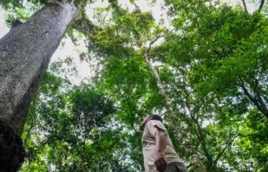 Conheça destinos sustentáveis em um dos biomas mais ricos do mundo