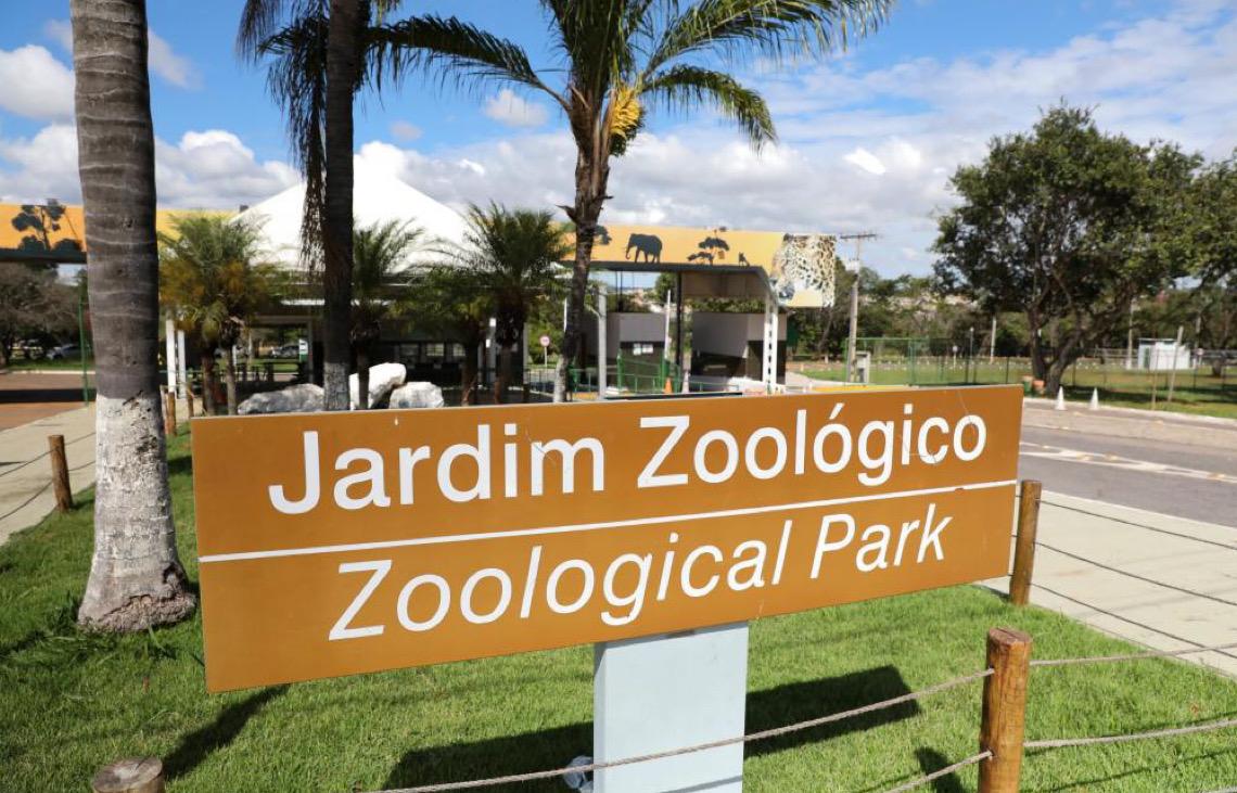 Nova suspeita de influenza aviária em animal do Zoológico de Brasília é investigada