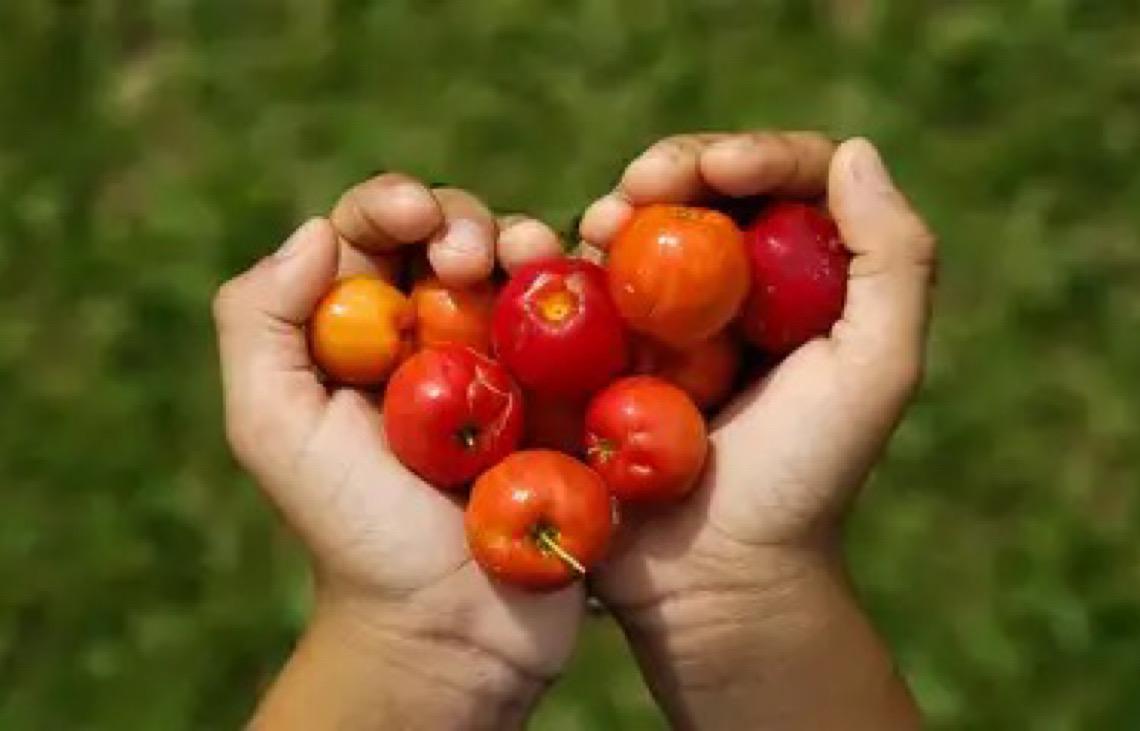 Natureza precisa ser aliada e não ameaça às crianças, diz especialista 